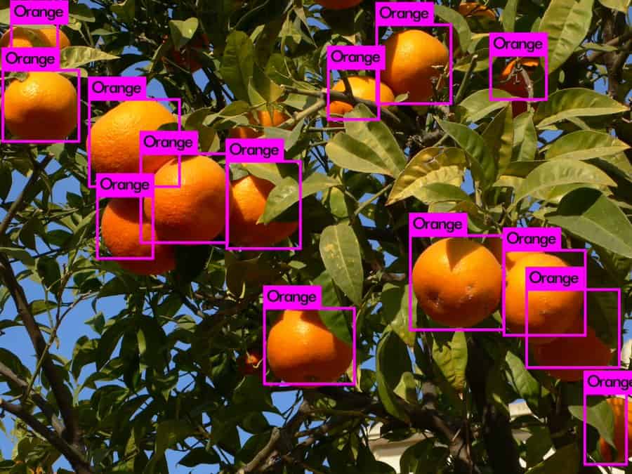object detectie orange